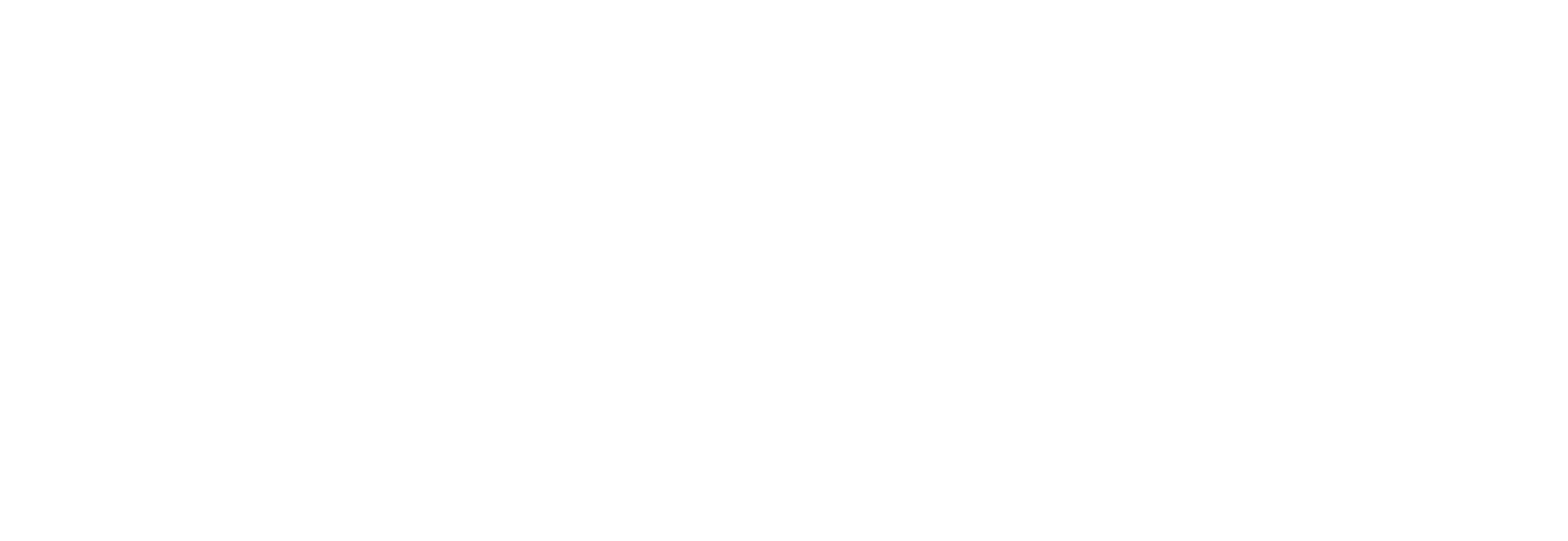 Bel Fuse Inc. footer logo